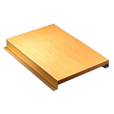 Hook - Op het type aluminium honingraat samengesteld paneel voor ophanging valse plafond decoratie